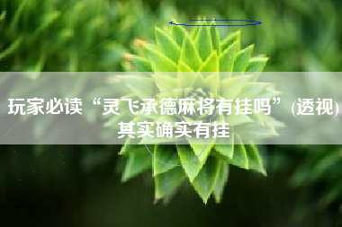 玩家必读“灵飞承德麻将有挂吗”(透视)其实确实有挂
