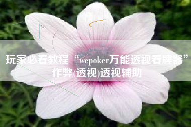 玩家必看教程“wepoker万能透视看牌器”作弊(透视)透视辅助