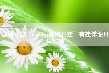 最新一款“wepoker辅助开挂”有挂详细开挂教程