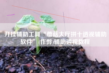 开挂辅助工具“蘑菇大厅拼十透视辅助软件”(作弊)辅助透视教程