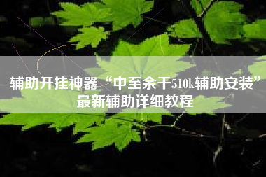 辅助开挂神器“中至余干510k辅助安装”最新辅助详细教程