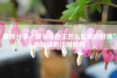 教程分享“微乐斗地主怎么能抓到好牌”最新辅助详细教程