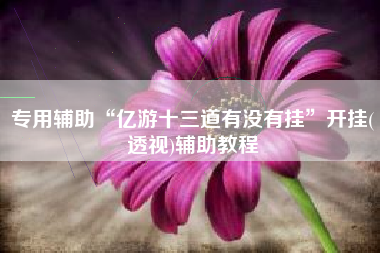 专用辅助“亿游十三道有没有挂”开挂(透视)辅助教程
