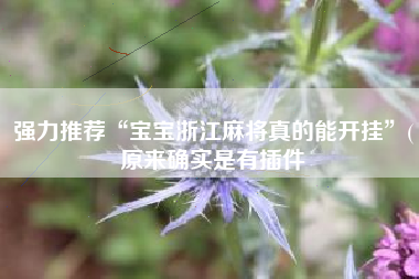 强力推荐“宝宝浙江麻将真的能开挂”(原来确实是有插件
