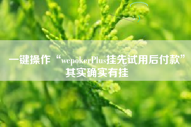 一键操作“wepokerPlus挂先试用后付款”其实确实有挂
