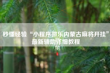 秒懂经验“小程序微乐内蒙古麻将开挂”最新辅助详细教程