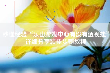 秒懂经验“乐山游戏中心有没有透视挂”详细分享装挂步骤教程