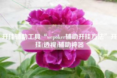 开挂辅助工具“wepoker辅助开挂方法”开挂(透视)辅助神器