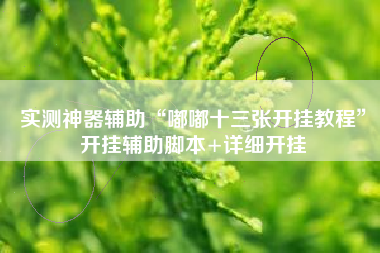 实测神器辅助“嘟嘟十三张开挂教程”开挂辅助脚本+详细开挂