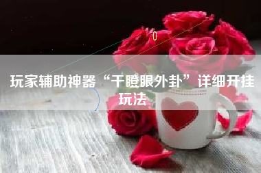 玩家辅助神器“干瞪眼外卦”详细开挂玩法