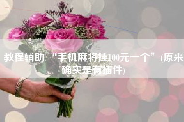 教程辅助!“手机麻将挂100元一个”(原来确实是有插件)