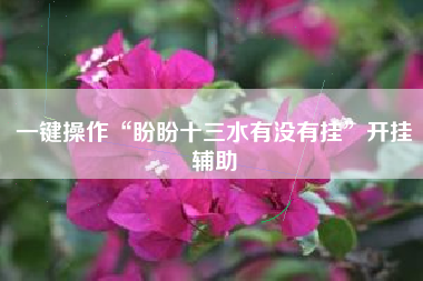 一键操作“盼盼十三水有没有挂”开挂辅助