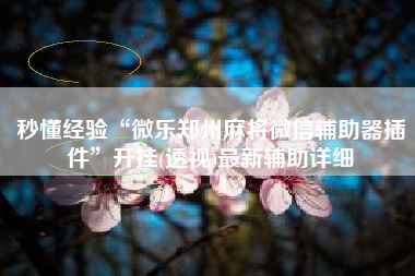 秒懂经验“微乐郑州麻将微信辅助器插件”开挂(透视)最新辅助详细