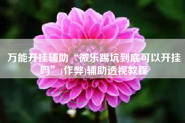 万能开挂辅助“微乐踢坑到底可以开挂吗”(作弊)辅助透视教程