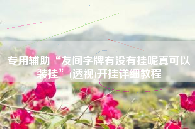 专用辅助“友间字牌有没有挂呢真可以装挂”(透视)开挂详细教程 专用辅助“友间字牌有没有挂呢真可以装挂”(透视)开挂详细教程