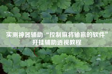 实测神器辅助“控制麻将输赢的软件”开挂辅助透视教程