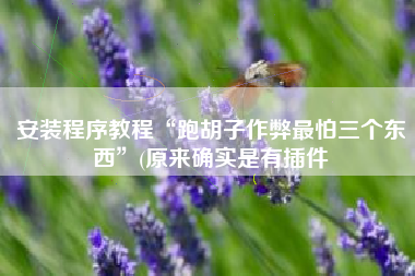 安装程序教程“跑胡子作弊最怕三个东西”(原来确实是有插件 安装程序教程“跑胡子作弊最怕三个东西”(原来确实是有插件