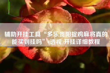 辅助开挂工具“多乐贵阳捉鸡麻将真的能买到挂吗”(透视)开挂详细教程