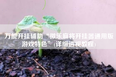 万能开挂辅助“微乐麻将开挂器通用版游戏特色”(详细透视教程)
