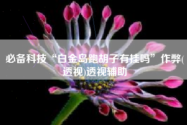 必备科技“白金岛跑胡子有挂吗”作弊(透视)透视辅助