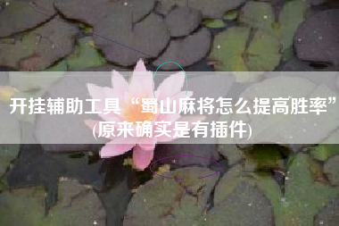 开挂辅助工具“蜀山麻将怎么提高胜率”(原来确实是有插件)