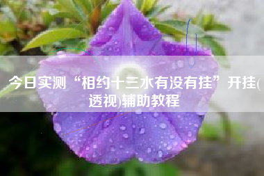 今日实测“相约十三水有没有挂”开挂(透视)辅助教程