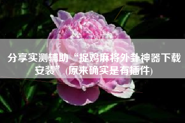 分享实测辅助“捉鸡麻将外卦神器下载安装”(原来确实是有插件)