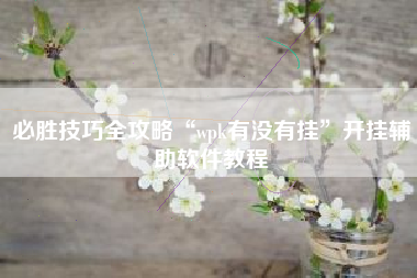 必胜技巧全攻略“wpk有没有挂”开挂辅助软件教程