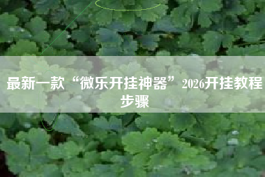 最新一款“微乐开挂神器”2026开挂教程步骤