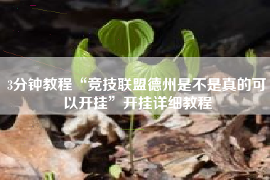 3分钟教程“竞技联盟德州是不是真的可以开挂”开挂详细教程