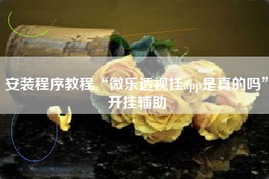 安装程序教程“微乐透视挂app是真的吗”开挂辅助