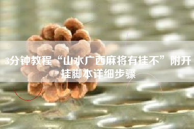 3分钟教程“山水广西麻将有挂不”附开挂脚本详细步骤