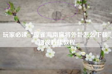 玩家必读“琼雀海南麻将外卦怎么下载”透视开挂教程