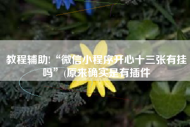 教程辅助!“微信小程序开心十三张有挂吗”(原来确实是有插件