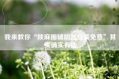 我来教你“陕麻圈辅助器安装免费”其实确实有挂