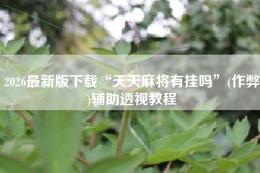 2026最新版下载“天天麻将有挂吗”(作弊)辅助透视教程