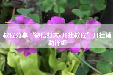 教程分享“微信打大a开挂教程”开挂辅助详细