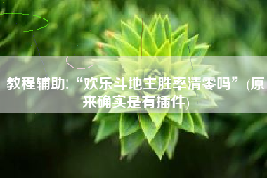 教程辅助!“欢乐斗地主胜率清零吗”(原来确实是有插件)