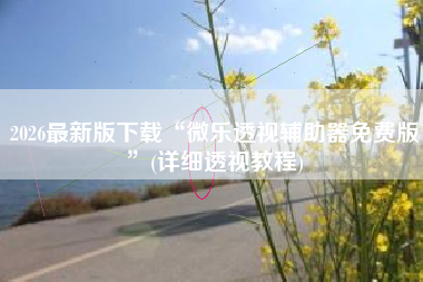 2026最新版下载“微乐透视辅助器免费版”(详细透视教程)