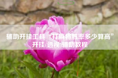 辅助开挂工具“打麻将胜率多少算高”开挂(透视)辅助教程