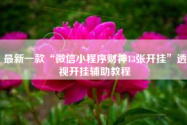 最新一款“微信小程序财神13张开挂”透视开挂辅助教程