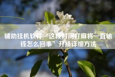 辅助挂机软件“这段时间打麻将一直输钱怎么回事”开挂详细方法