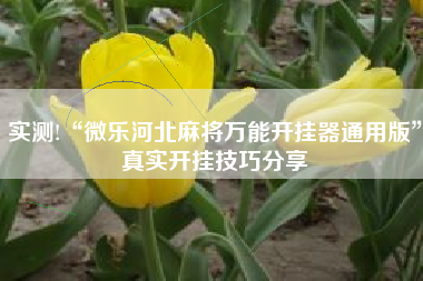 实测!“微乐河北麻将万能开挂器通用版”真实开挂技巧分享