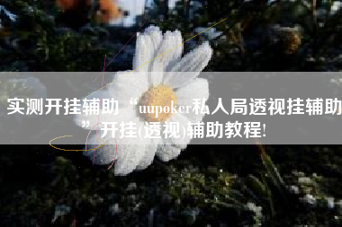实测开挂辅助“uupoker私人局透视挂辅助”开挂(透视)辅助教程!