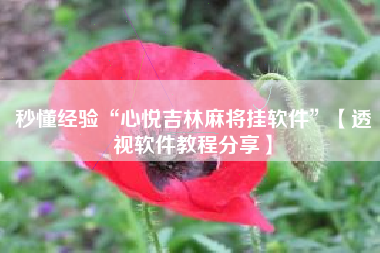 秒懂经验“心悦吉林麻将挂软件”【透视软件教程分享】