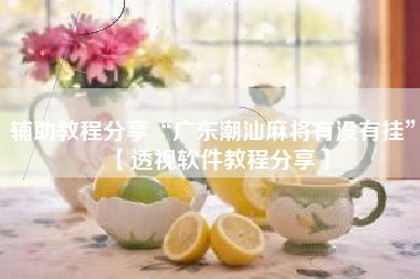 辅助教程分享“广东潮汕麻将有没有挂”【透视软件教程分享】