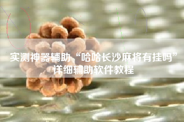 实测神器辅助“哈哈长沙麻将有挂吗”详细辅助软件教程 实测神器辅助“哈哈长沙麻将有挂吗”详细辅助软件教程