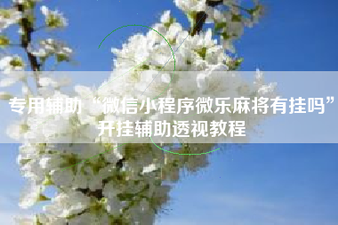 专用辅助“微信小程序微乐麻将有挂吗”开挂辅助透视教程