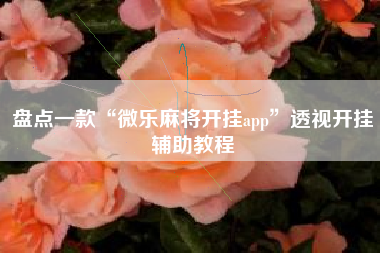 盘点一款“微乐麻将开挂app”透视开挂辅助教程