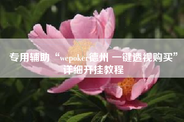 专用辅助“wepoker德州 一键透视购买”详细开挂教程